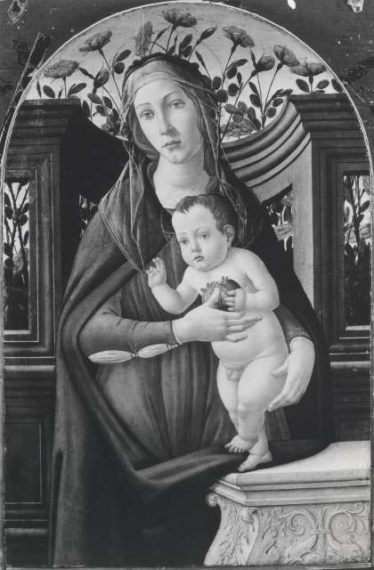 A. C. Cooper — Filipepi Alessandro - bottega - sec. XV/ XVI - Madonna con Bambino — insieme